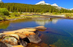 Yosemite National Park